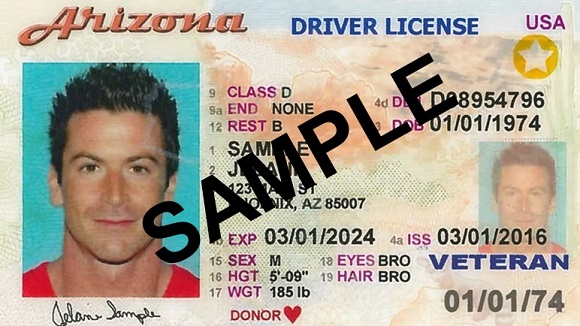 arizona drivers license sample